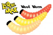Wood Worm-0